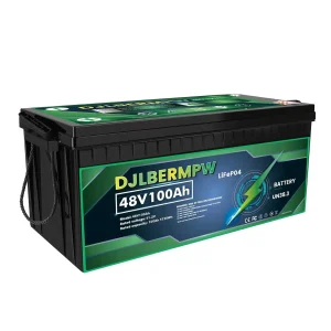 DJDC 51.2V 100Amper-LiFePO4 Lityum Akü